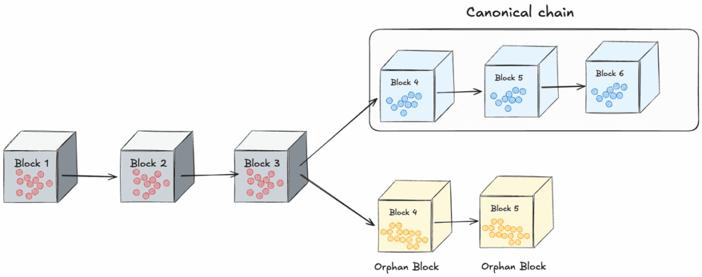 Zeno Bank's Crypto Payment Gateway Deep Dive Blockchain diagram showing a chain reorg, highlighting the longer canonical chain victory over an alternative path of orphaned blocks following a fork.